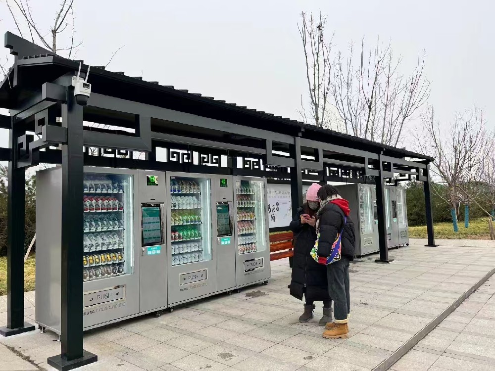 The Case of Self selling Cargo Airplane, the Eighth Wonder of the World, of the Terra Cotta Warriors of the First Emperor of Qin